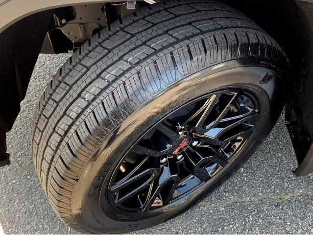 2025 GMC Sierra 1500 Vehicle Photo in BEAUFORT, SC 29906-4218