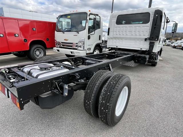 2025 Chevrolet Low Cab Forward 3500 Vehicle Photo in ALCOA, TN 37701-3235