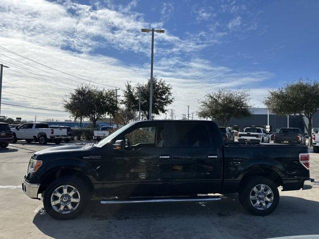 2013 Ford F-150 Vehicle Photo in San Antonio, TX 78209