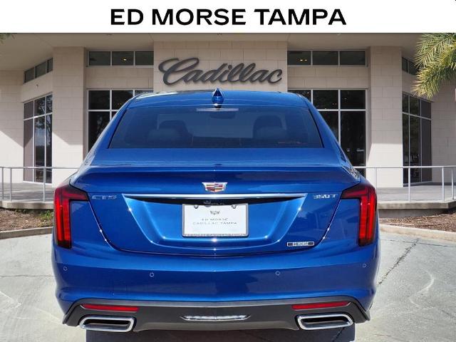 2025 Cadillac CT5 Vehicle Photo in Tampa, FL 33612