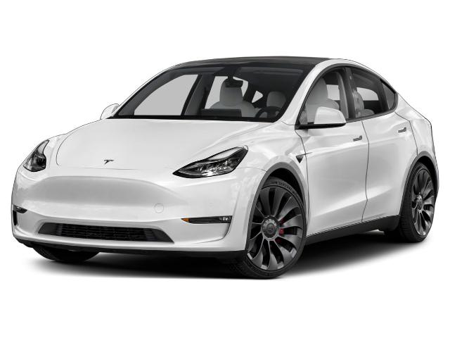 2021 Tesla Model Y Vehicle Photo in Houston, TX 77007