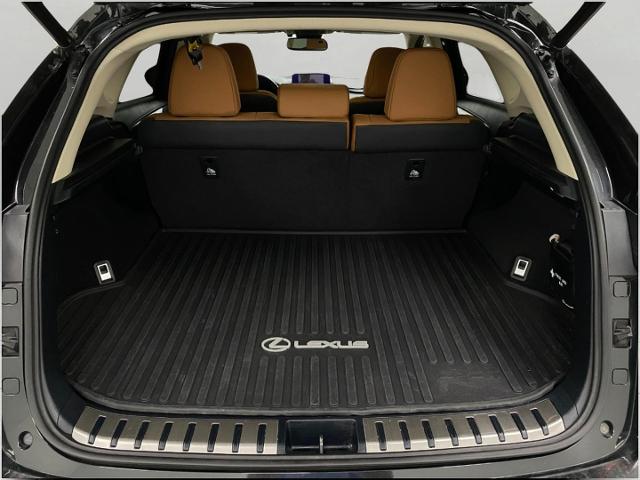 2020 Lexus NX 300 Vehicle Photo in Appleton, WI 54913