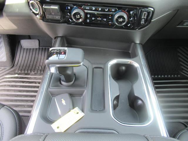 2025 Chevrolet Silverado 1500 Vehicle Photo in LEESBURG, FL 34788-4022
