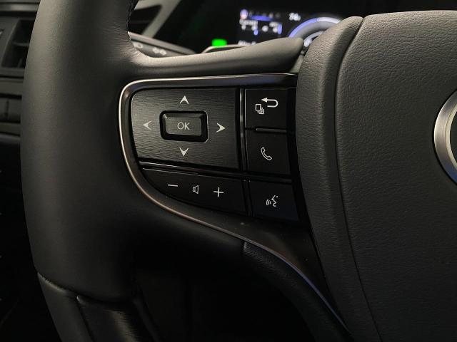 2025 Lexus ES 300h Vehicle Photo in Appleton, WI 54913