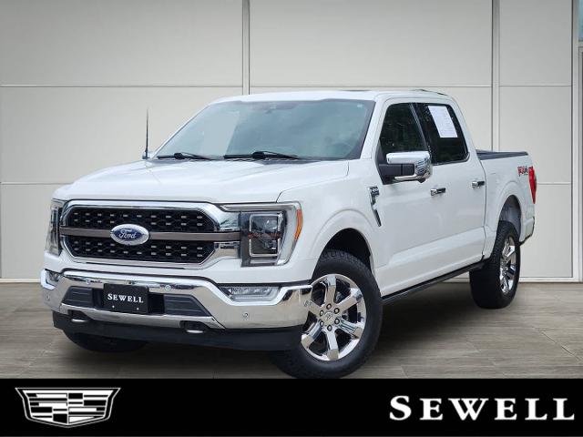 2021 Ford F-150 Vehicle Photo in HOUSTON, TX 77079