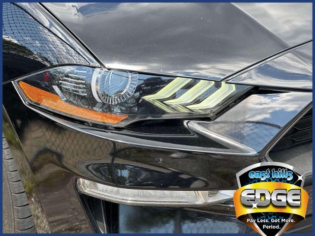 2019 Ford Mustang Vehicle Photo in Roslyn, NY 11576