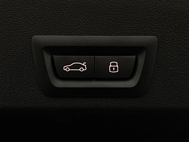 2025 BMW XM Vehicle Photo in Appleton, WI 54913