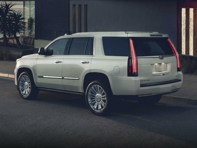 2020 Cadillac Escalade Vehicle Photo in MEDINA, OH 44256-9631