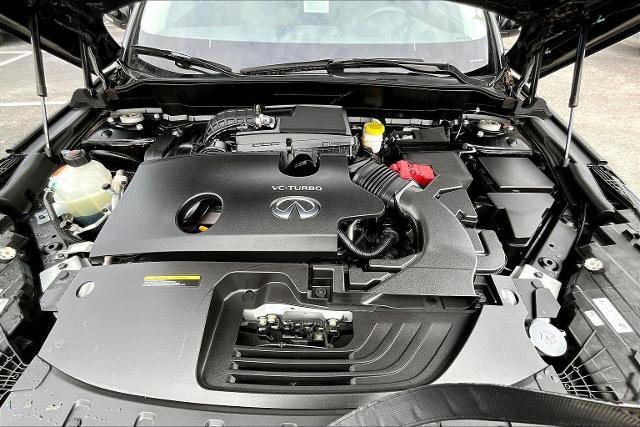 2023 INFINITI QX50 Vehicle Photo in San Antonio, TX 78230