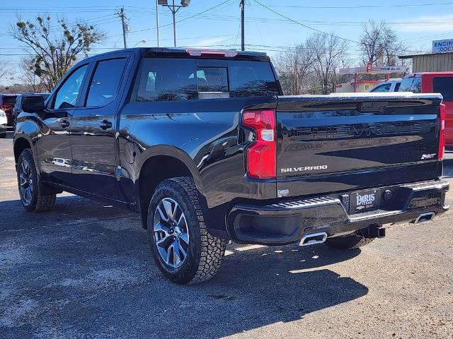 2025 Chevrolet Silverado 1500 Vehicle Photo in PARIS, TX 75460-2116