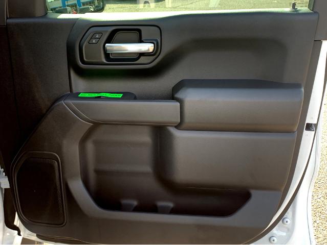 2025 Chevrolet Silverado 1500 Vehicle Photo in BEAUFORT, SC 29906-4218