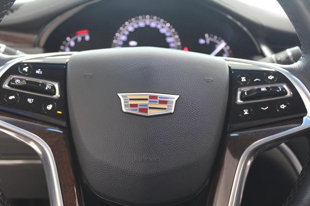 2017 Cadillac XTS Vehicle Photo in Green Bay, WI 54304