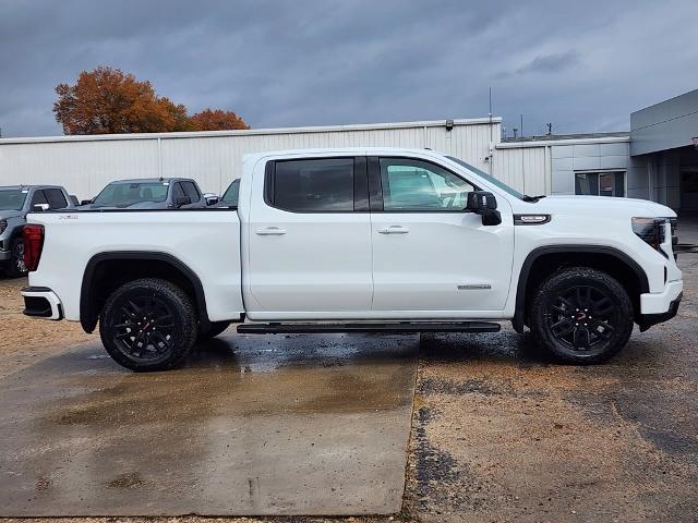 2025 GMC Sierra 1500 Vehicle Photo in PARIS, TX 75460-2116