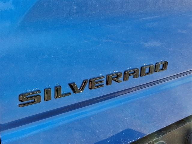 2025 Chevrolet Silverado 1500 Vehicle Photo in SEAFORD, DE 19973-8463