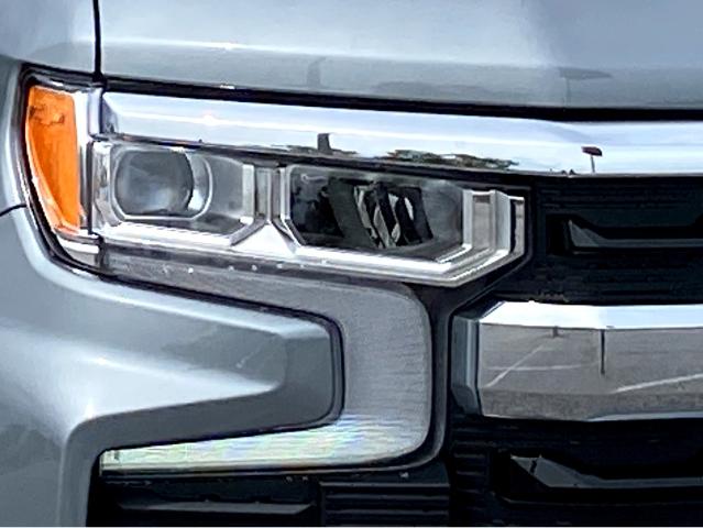 2025 Chevrolet Silverado 1500 Vehicle Photo in BEAUFORT, SC 29906-4218