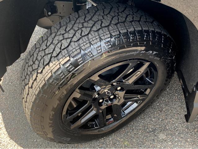 2025 Chevrolet Silverado 1500 Vehicle Photo in BEAUFORT, SC 29906-4218