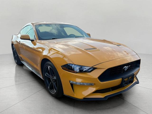 2022 Ford Mustang Vehicle Photo in Neenah, WI 54956