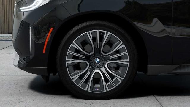 2025 BMW X3 30 xDrive Vehicle Photo in GRAPEVINE, TX 76051