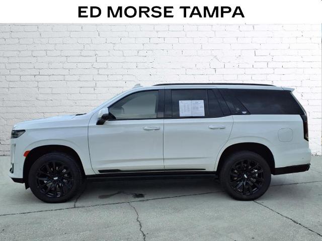 2024 Cadillac Escalade Vehicle Photo in Tampa, FL 33612