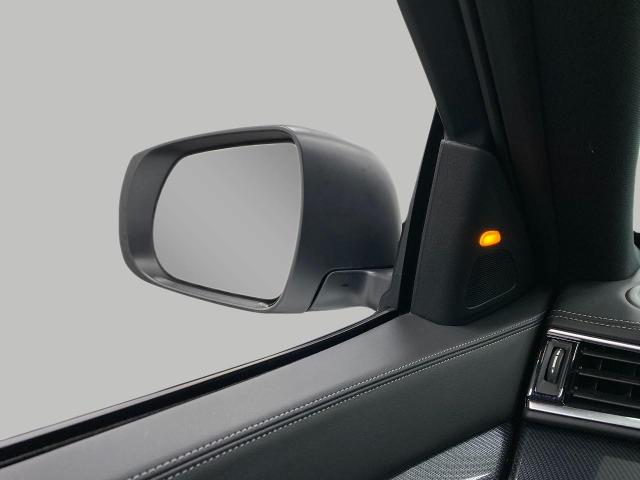 2025 INFINITI QX50 Vehicle Photo in Appleton, WI 54913