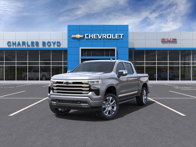 2025 Chevrolet Silverado 1500 Vehicle Photo in HENDERSON, NC 27536-2966