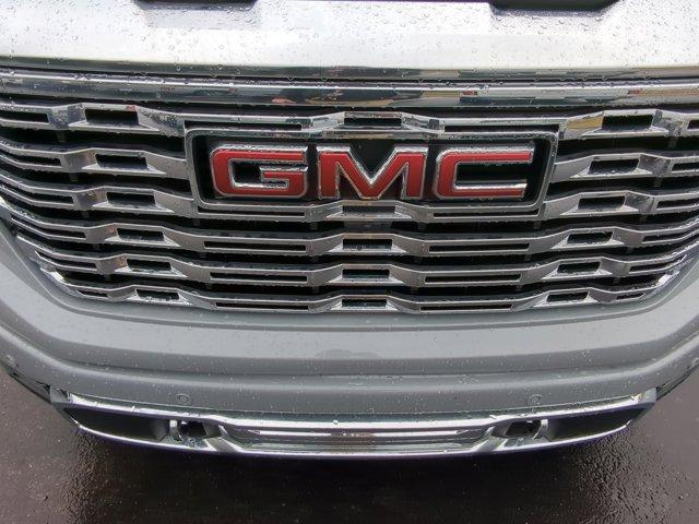 2025 GMC Sierra 1500 Vehicle Photo in ALBERTVILLE, AL 35950-0246