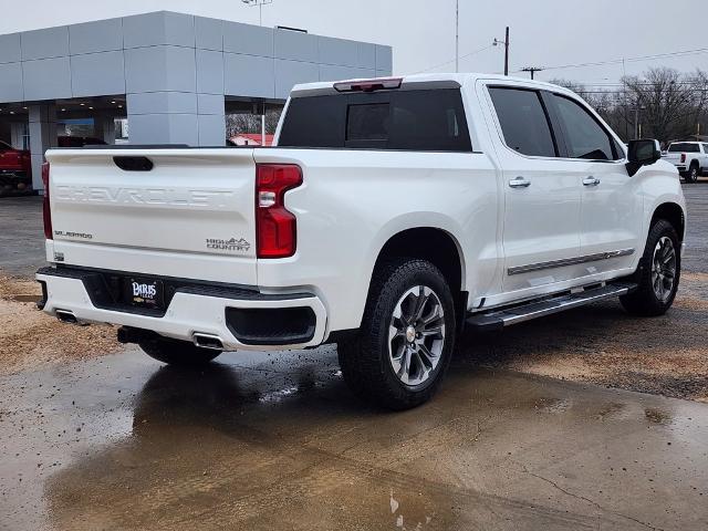 2025 Chevrolet Silverado 1500 Vehicle Photo in PARIS, TX 75460-2116