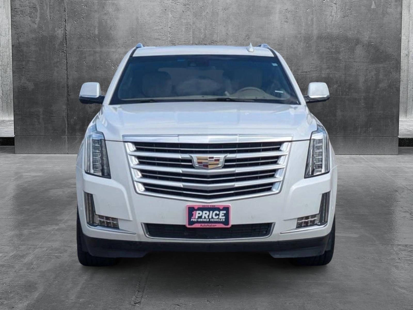 2019 Cadillac Escalade Vehicle Photo in CORPUS CHRISTI, TX 78412-4902