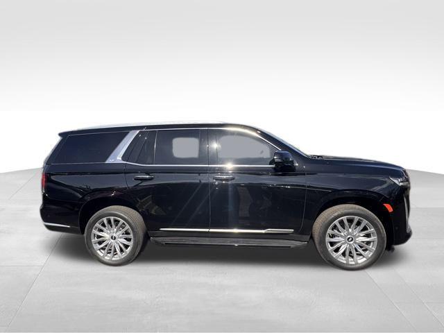 2023 Cadillac Escalade Vehicle Photo in DELRAY BEACH, FL 33483-3294