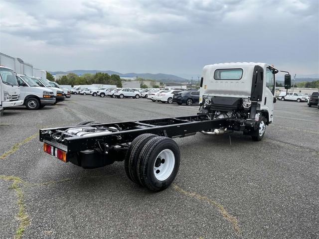 2024 Chevrolet Low Cab Forward 3500 Vehicle Photo in ALCOA, TN 37701-3235