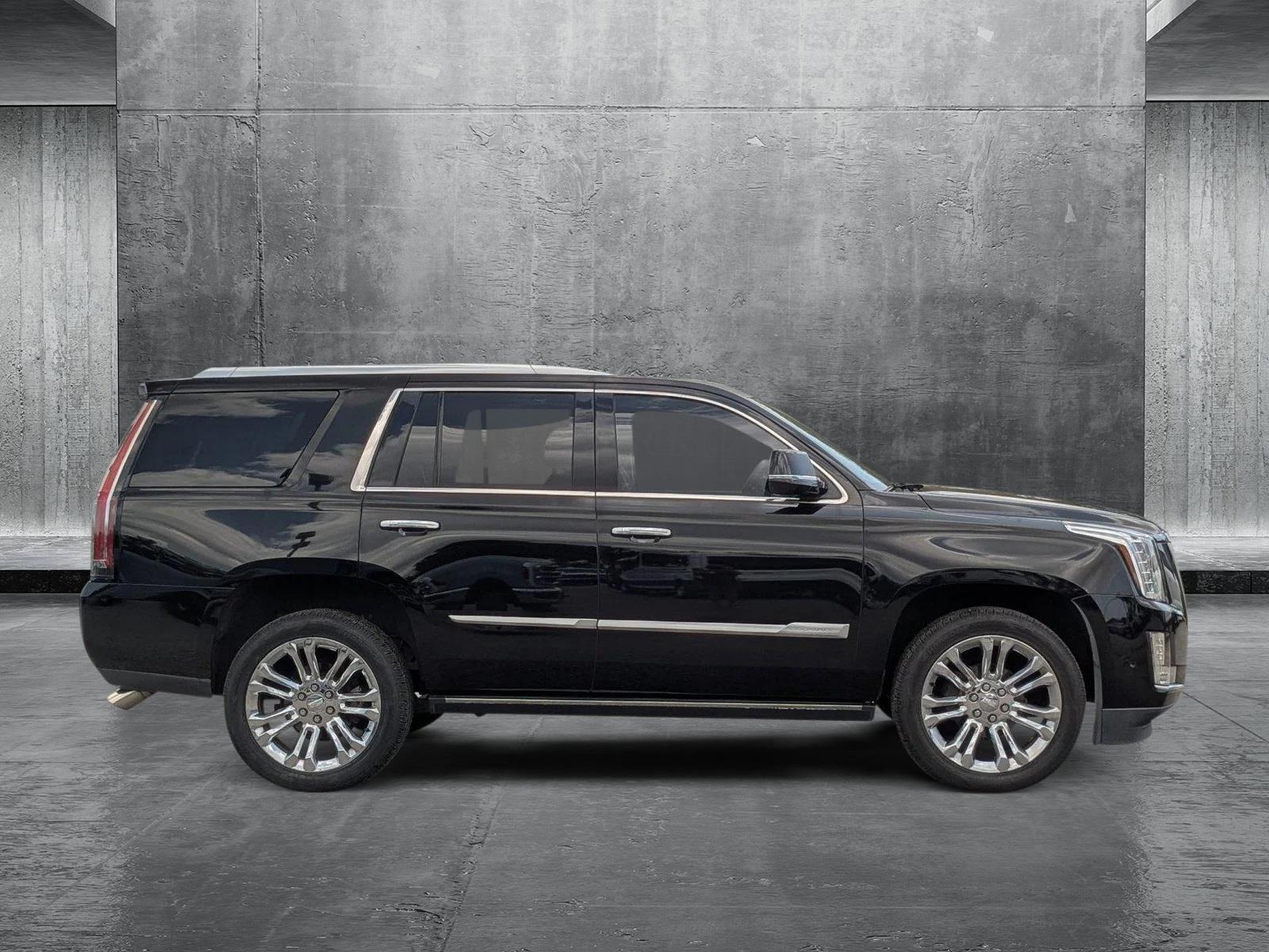 2017 Cadillac Escalade Vehicle Photo in St. Petersburg, FL 33713