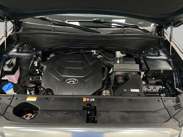 2024 Hyundai PALISADE Vehicle Photo in Appleton, WI 54913