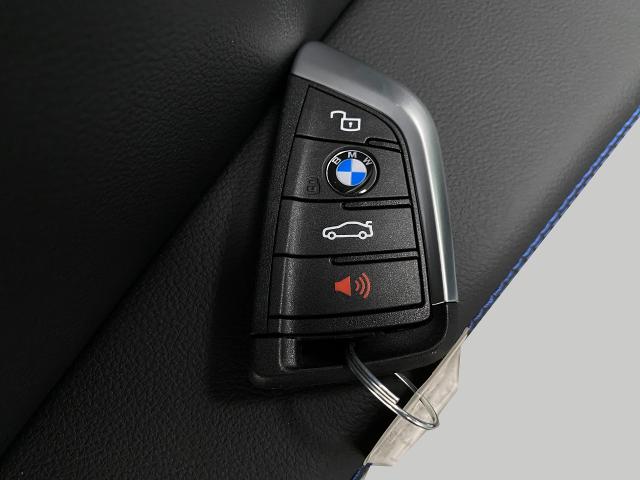 2025 BMW X4 xDrive30i Vehicle Photo in Appleton, WI 54913