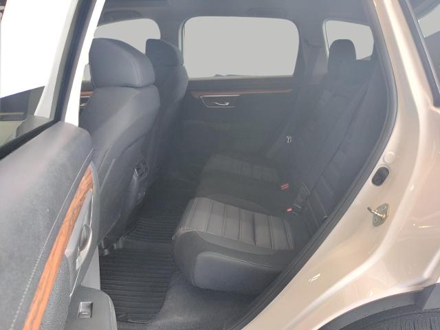 2020 Honda CR-V Vehicle Photo in Green Bay, WI 54304