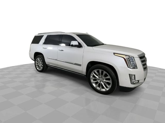 2018 Cadillac Escalade Vehicle Photo in GILBERT, AZ 85297-0402