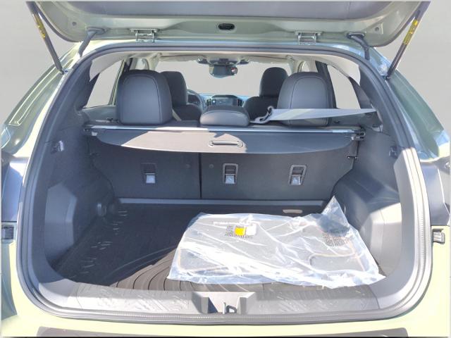 2025 Subaru Crosstrek Vehicle Photo in Green Bay, WI 54304