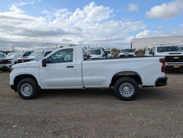 2025 Chevrolet Silverado 1500 Vehicle Photo in SELMA, TX 78154-1460