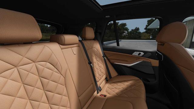 2025 BMW X5 sDrive40i Vehicle Photo in GRAPEVINE, TX 76051