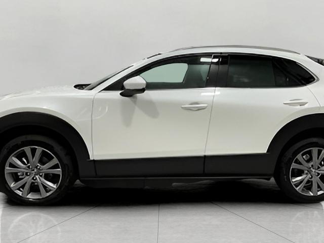 2025 Mazda CX-30 Vehicle Photo in Green Bay, WI 54304