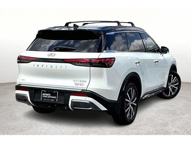 2024 INFINITI QX60 Vehicle Photo in San Antonio, TX 78230