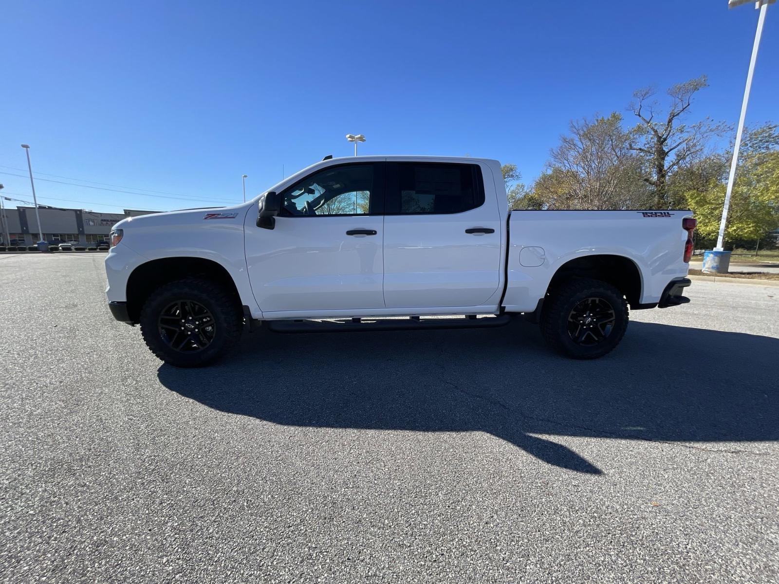 2025 Chevrolet Silverado 1500 Vehicle Photo in BENTONVILLE, AR 72712-4322