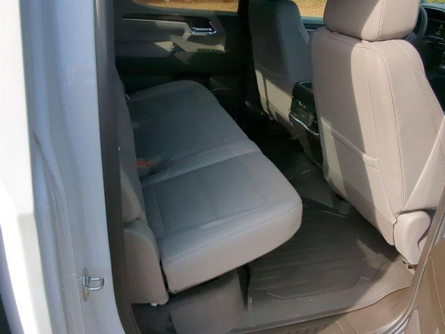 2025 GMC Sierra 1500 Vehicle Photo in ALBERTVILLE, AL 35950-0246