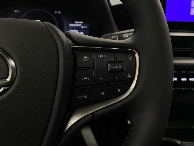 2025 Lexus UX 300h Vehicle Photo in Appleton, WI 54913