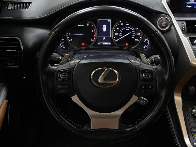 2020 Lexus NX 300 Vehicle Photo in Appleton, WI 54913