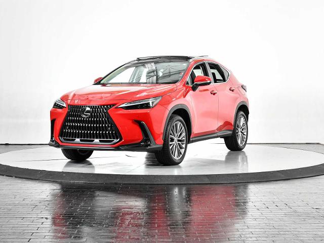 2023 Lexus NX 350 Vehicle Photo in DALLAS, TX 75235