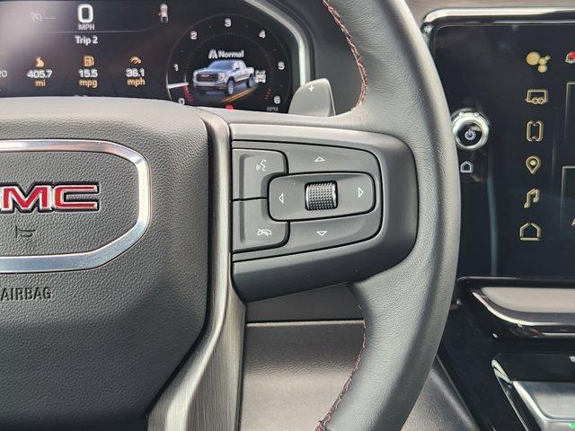 2024 GMC Sierra 1500 Vehicle Photo in Decatur, TX 76234