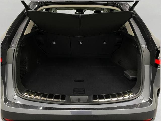 2025 Lexus NX 350 Vehicle Photo in Appleton, WI 54913