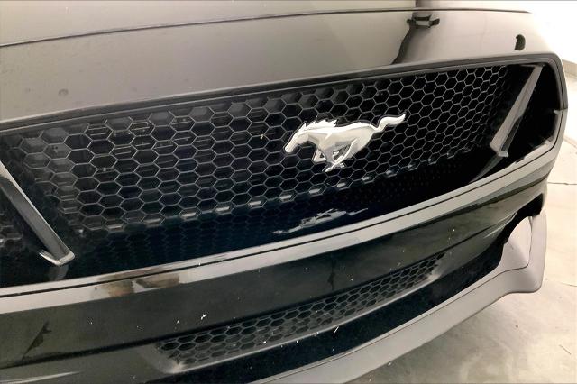 2023 Ford Mustang Vehicle Photo in Lees Summit, MO 64086