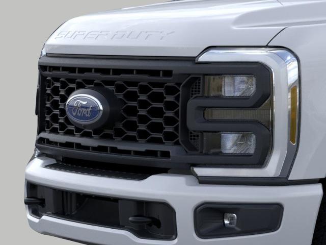 2025 Ford Super Duty F-350 SRW Vehicle Photo in Neenah, WI 54956