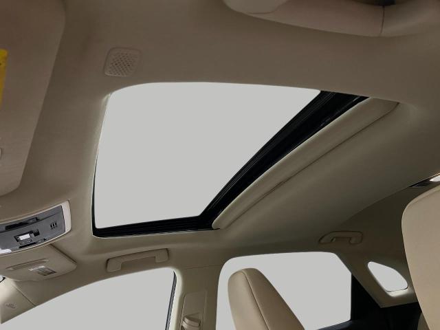2021 Lexus RX 350 Vehicle Photo in Appleton, WI 54913